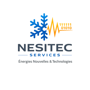 Logo NESITEC SERVICES